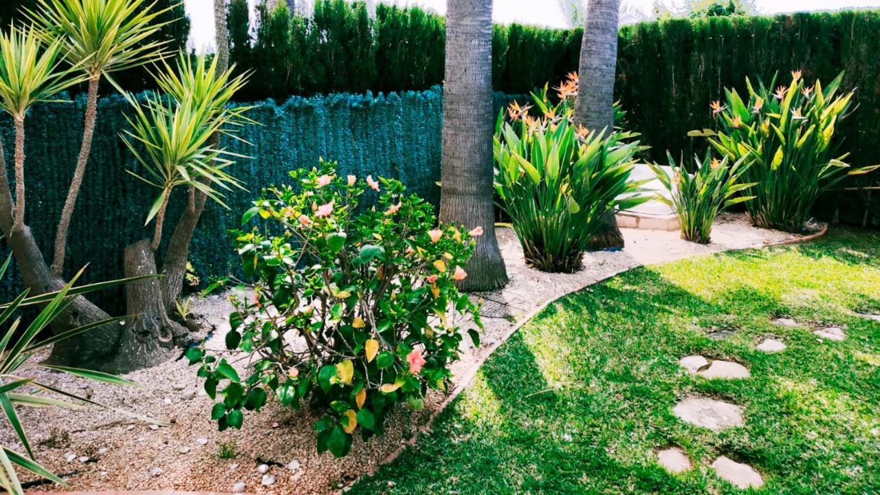 Villa El Palmar دينايا المظهر الخارجي الصورة